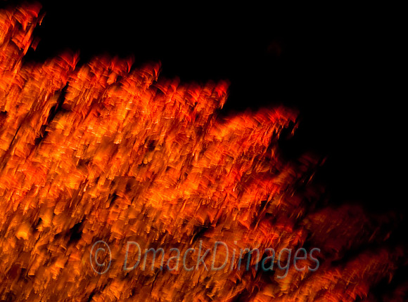 Autumn abstract