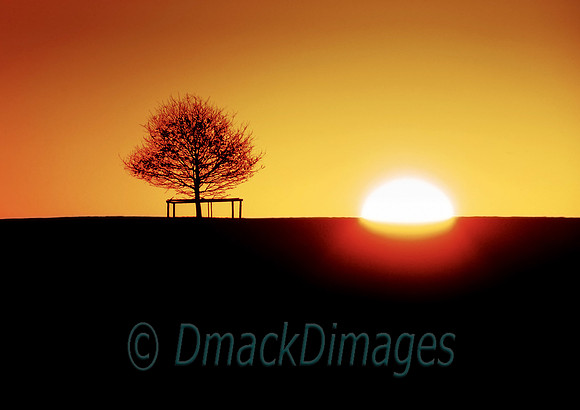 Winter dawn