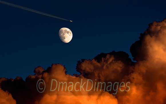 Dreamscape