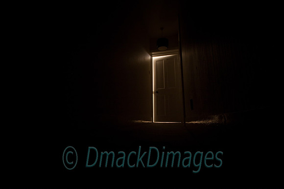The door