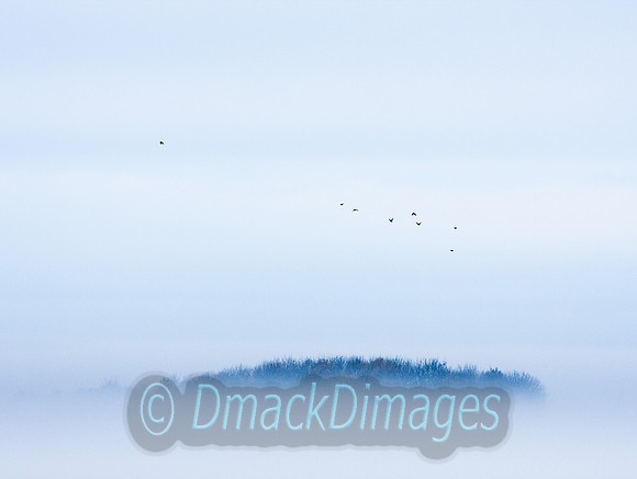 November dawn