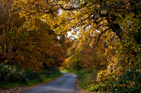 Landscapes